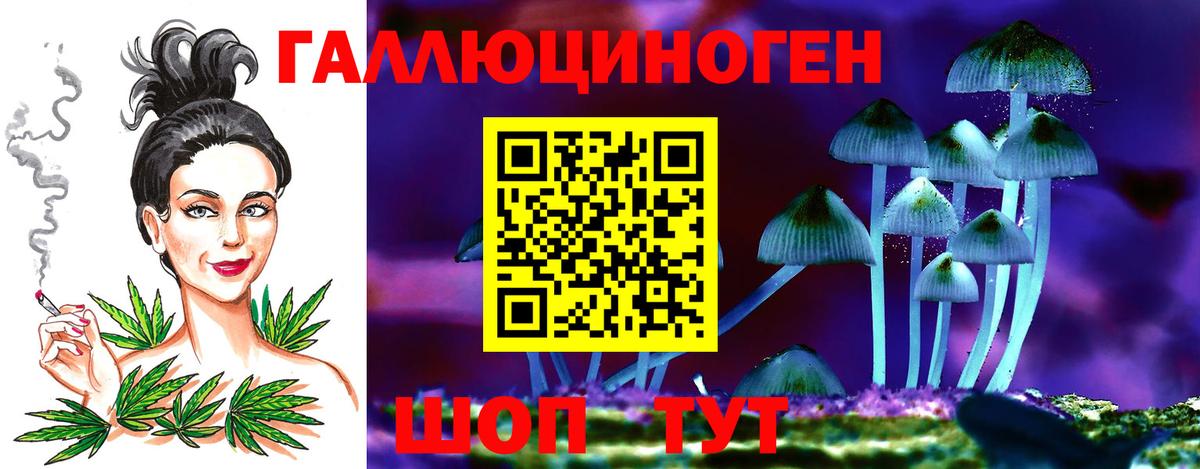 Галлюциногенные грибы прущие грибы  Вход с VPN  Галлюциногенные грибы Cubensis  где можно купить наркотик  Заречный 